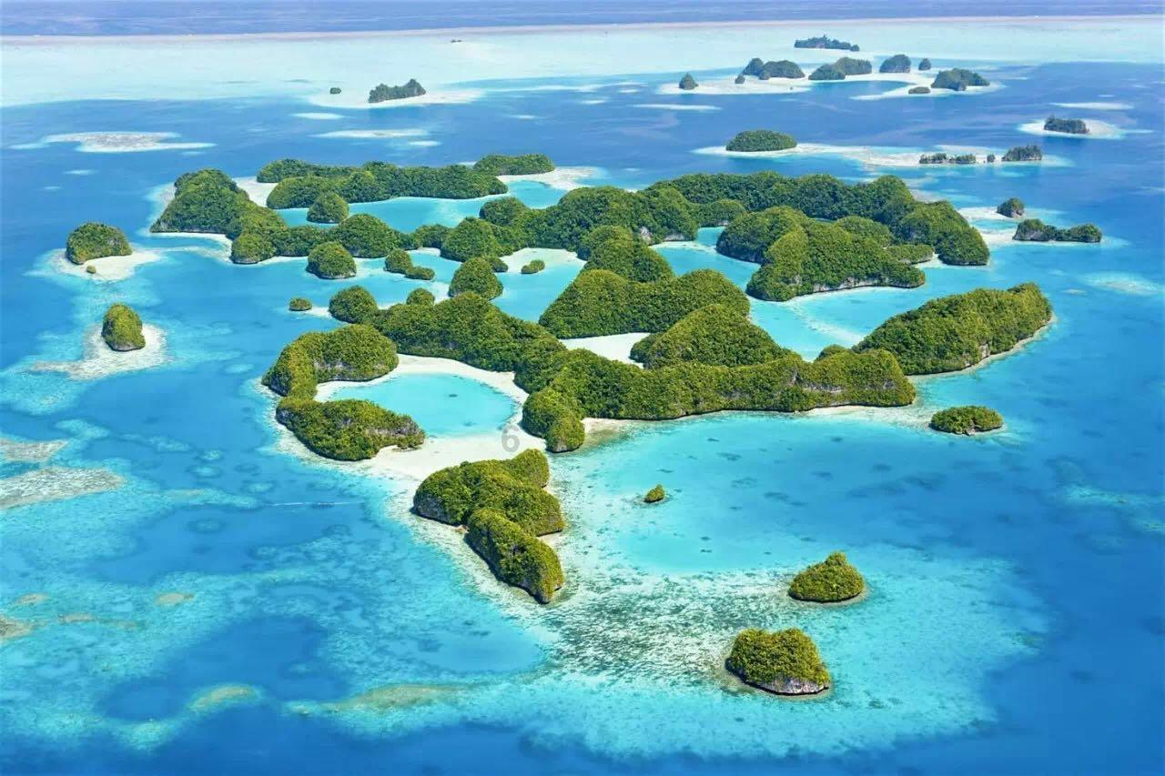 救援可爱的洋葱